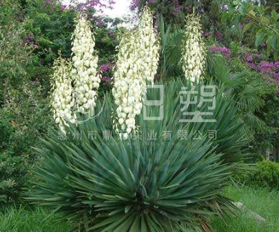 麻絲，雕塑麻絲，麻絲廠家，麻絲直銷，廣州麻絲生產廠家