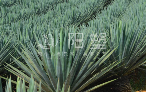 麻絲，雕塑麻絲，麻絲廠家，麻絲直銷，廣州麻絲生產廠家